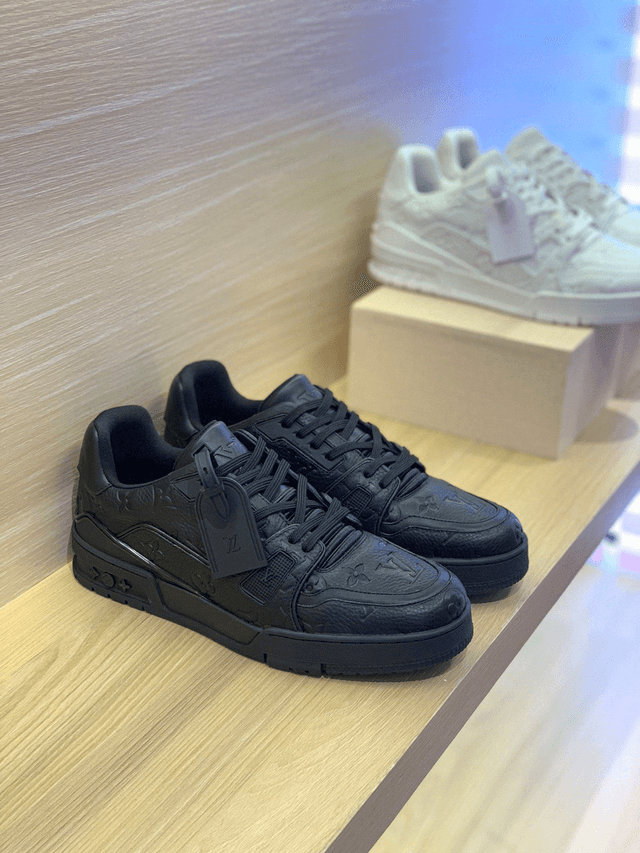 LV Trainer 