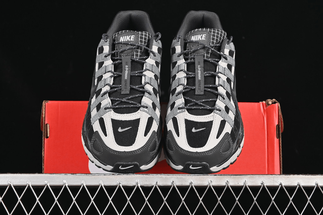 Nike P-6000  