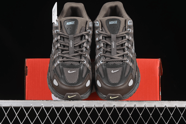 Nike P-6000